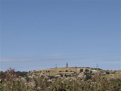 Picture 43